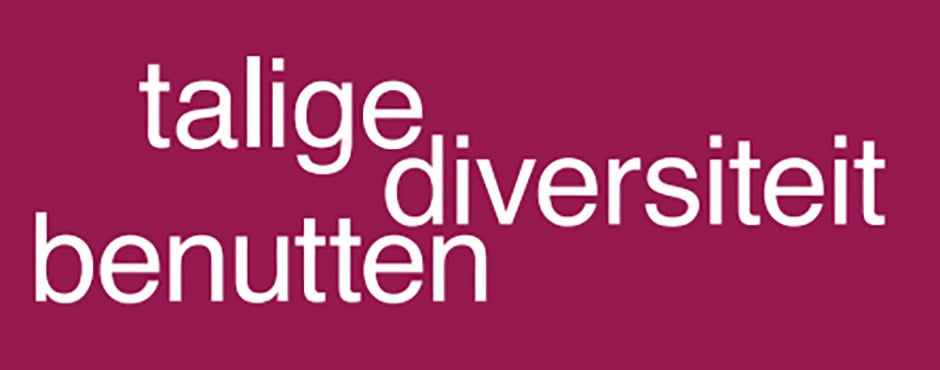 Talige diversiteit benutten 940x370 1
