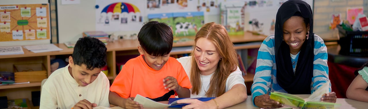 Welk aanbod sluit aan bij de LOWAN-leerlijnen?